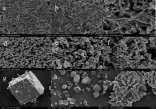 Metal organic framework-derived manganese-cobalt oxide with high SO2 resistance for low-temperature NH3-SCR
