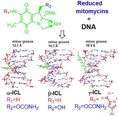 Synthesis of Oligonucleotides Containing a Dna Distorting Interstrand Crosslink Produced by Mitomycins