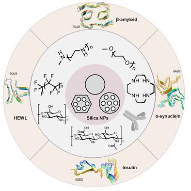 Modulating the Aggregation of Amyloid Proteins by Silica Nanoparticles