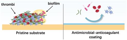 Dual-Functional Antimicrobial and Anticoagulant Coatings: Synergistic Mechanisms, Research Advances, and Translational Challenges