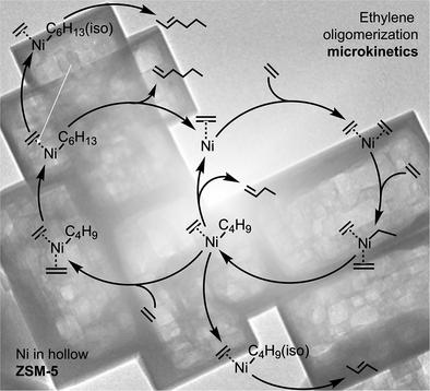 Selectivity and Microkinetic Insights on Ethylene Oligomerization over Ni Encapsulated in a Brønsted-less Hollow ZSM-5 Zeolite