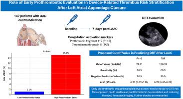Role of Early Prothrombotic Evaluation in Device-Related Thrombus Risk Stratification After Left Atrial Appendage Closure