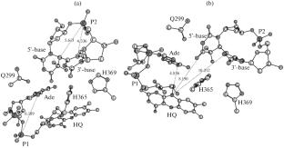 Multiconfiguration Quantum Chemistry Calculations for Describing Photoinduced DNA Repair