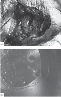 Influence of Magnetic Field on Structure of Polyvinyl Alcohol Film during Formation from Solution