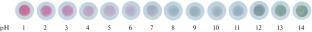 A Single Microfluidic Paper-Based Analytical Device for the Determination of Ammonia and pH Using Mulberry Fruit Extract as a Natural Indicator