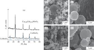 Thermoelectric Properties of CaMnO3 Doped with Gadolinium Ions