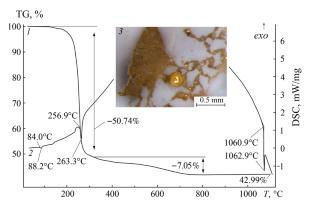 Dithiocarbamato-Chlorido Gold(III) Complexes [Au(S2CNPr2)2][AuCl4] and [Au(S2CNPr2)Cl2]: Structural Organization, Interconversions in Solution, and Thermal Behavior