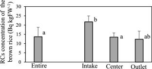 Distribution of cesium-bearing microparticles in the paddy field and their effect on transfer factor of radioactive cesium for brown rice