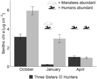 Seasonal differences in nutrient uptake dynamics in coastal spring-fed ecosystems: the potential effects of Florida manatees and humans