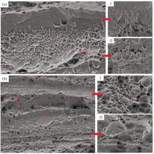 Study on the Organisation and Mechanical Properties of the Static Shoulder Friction Stir Welded of AA6003-T6 Aluminium Alloy