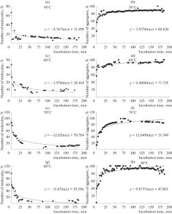 Processes of Thermal Aggregation and Autolysis of Cysteine Protease Molecules: Bromelain, Ficin, and Papain