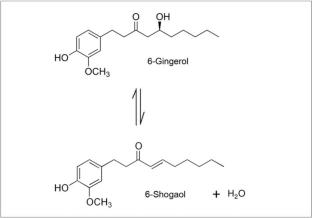 Insights into biological activities profile of gingerols and shogaols for potential pharmacological applications