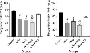 Vitamin A supplementation restores neuroanatomical integrity and behavior in a valproic acid-induced autism model