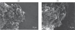 Ionic Liquids as Promising Functional Materials for the Microextraction of Steroid Hormones