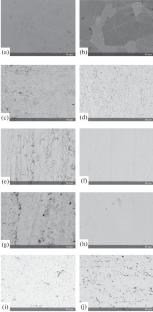 Effect of Electrolytic Plasma Polishing on Surface Morphology and Structure of Plates Made of Promising Biomedical Titanium Alloys