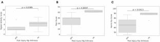 Long-term outcomes of traumatic hip dislocation: a minimum 10-year follow-up study in 18 patients
