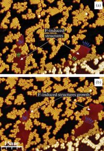 Controlled Growth of Carbon Nanotubes and Highly Ordered Graphene on the Pt(111) Surface Using Fluorofullerene Molecules