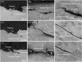 Rolling Contact Fatigue Performance of a Newly Developed Wheel Steel for 400 km/h High-Speed Trains