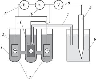 Electrolytic Refining of a Pb–Sn Crude Alloy