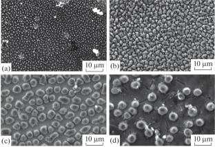 Effect of Laser Pulsed Treatment on WC–9% Co Hard Alloy