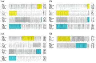 A Novel Quadriplex Reverse Transcription PCR Assay for Robust SARS-CoV-2 Diagnosis and Variant Detection: Experimental Optimization for Enhanced Sensitivity and Specificity