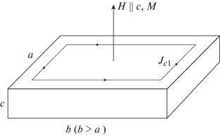 Features of Pinning Mechanism Determination in Samples of the Class 111 Family of Iron Pnictides