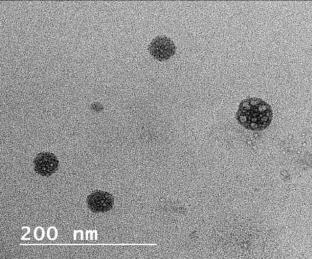 Microemulsion-Based Gel for Skin Delivery of Tacrolimus and Pramoxine Hydrochloride