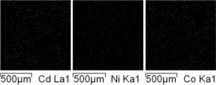 Bio-based acrylate crosslinked copolymer from vegetable oil-derived N-octadecyl acrylate and acrylic acid for heavy metal ions adsorption