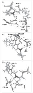 Impact of the Protein Environment on Two-Photon Absorption Cross-Sections of Type I and Type II Retinal-Containing Proteins