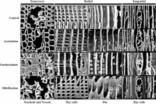 Abstract Image