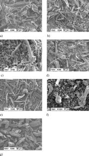 Development of co-processed excipient from wheat harvest residue-derived microcrystalline cellulose suitable for formulation of immediate release tablets containing high-dose drug