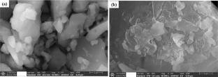 Multifunctional SrO₂–Sodium Alginate–L-Arginine Nanocomposite: A Green Approach against Colon Cancer and Pathogenic Microbes