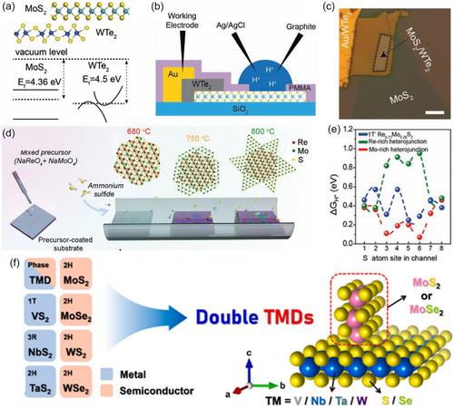 Combining Different Metals In Transition Metal Dichalcogenides for Hydrogen Evolution Reaction