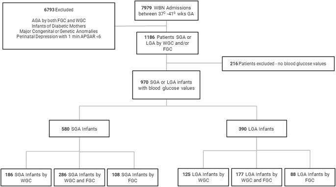 The performance of growth charts in well term newborns in screening for hypoglycemia
