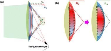 Optical and photothermal properties of CsWO3 nanoparticles endow poly(dimethylsiloxane) fluidic lenses with non-invasive thermo-optic and thermo-expansion effects for fluorescence imaging