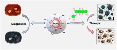 APTES modified magnetite nanoparticles as a theranostic nanocarrier: a study of loading and sustained release of daunorubicin