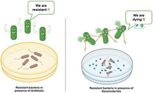 A one health nanotechnology approach to address antimicrobial resistance: state-of-the-art and strategic outlook