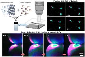Asymmetry-driven irregular topological defects and hydrodynamic cavitation of tadpole particles in nematic liquid crystals