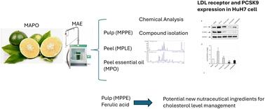 Effects of ‘Mapo’ tangelo (Citrus × tangelo) extracts, essential oil, and isolated compounds on LDL receptor and PCSK9 expression in the human hepatocarcinoma cell line Huh7