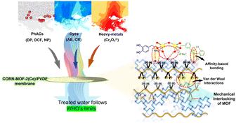 Revolutionizing environmental clean-up: novel CORN-MOF-2/PVDF composite membranes for the removal of multi-pollutants