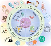 Ergothioneine as a promising natural antioxidant: bioactivities, therapeutic potential, and industrial applications
