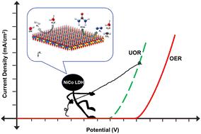 Urea-assisted hydrogen production: insights into Ni(Co, Mn) LDH-based multifunctional electrocatalysts