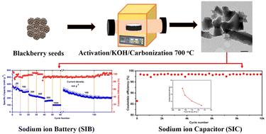 Biowaste-derived carbon as an electrode material for sodium batteries and capacitors