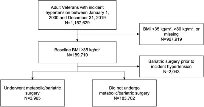 The Effect of Bariatric Surgery on Hypertension Outcomes: A Retrospective Cohort Study