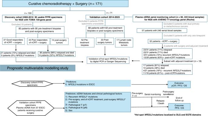 Oncogenic NFE2L2 mutations in plasma ctDNA and tumors are predictors and prognosticators of chemoradiation therapy in resectable esophageal squamous cell carcinoma