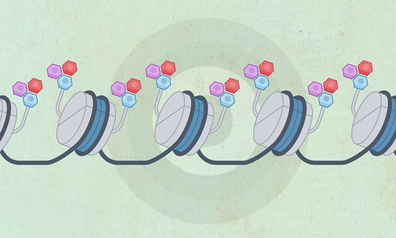 Epigenetic inhibitor silences KRAS-driven oncogenes