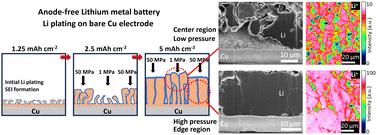 Direct visualization and mechanistic insights into initial lithium plating in anode-free lithium metal batteries