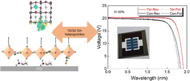 Bottom directional deposition perovskite heterojunctions for efficient and stable lead halide perovskite/silicon tandem solar cells