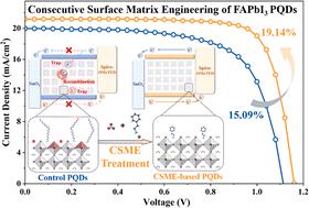 Consecutive surface matrix engineering of FAPbI3 perovskite quantum dots for solar cells with over 19% efficiency