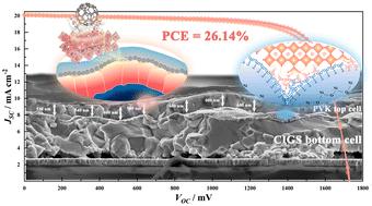 Two-terminal perovskite/Cu(In,Ga)Se2 tandems with conformal coatings based on commercial bottom cells with >26% efficiency